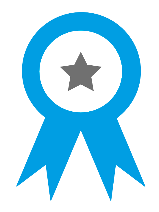 icono-premio-meritos-academicos-sociales-alava-La Fundación